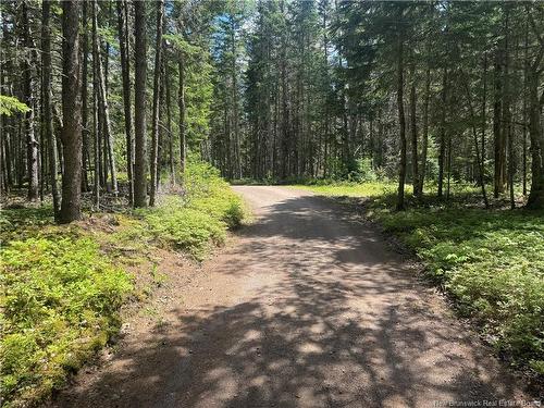 Na Portage Vale Rd., Portage Vale, NB - Outdoor With View