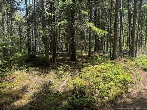Na Portage Vale Rd., Portage Vale, NB - Outdoor With View