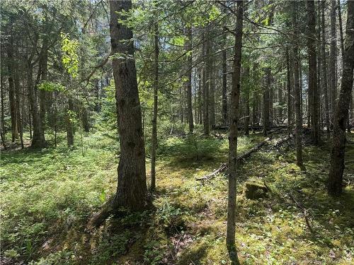 Na Portage Vale Rd., Portage Vale, NB - Outdoor With View