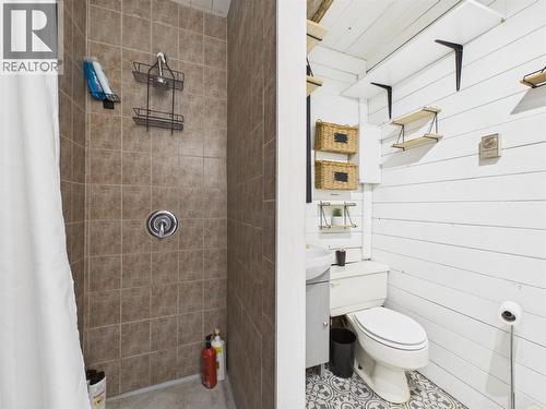 Basement bathroom - 3718 Krestova Road, Krestova, BC - Indoor Photo Showing Bathroom