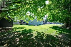 Yard - 