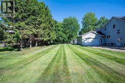 Yard - 