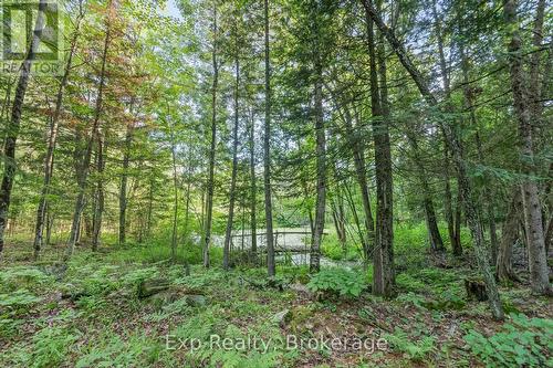 1585 County 46 Road, Havelock-Belmont-Methuen (Belmont-Methuen), ON 