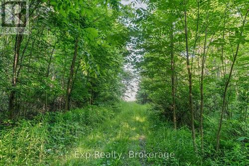 1585 County 46 Road, Havelock-Belmont-Methuen (Belmont-Methuen), ON 