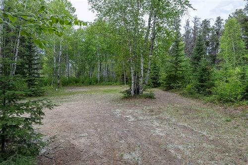 23 Allison Dr, Alexander, MB 