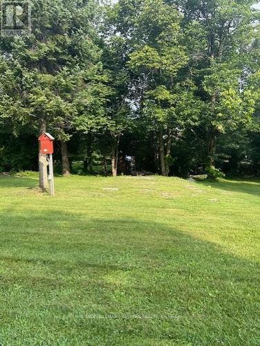 691 Frank Hill Road, Kawartha Lakes (Emily), ON 