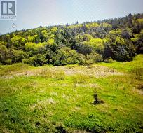 7 - 15 Pier Drive St Lunaire Griquet, NL A0K 2X0