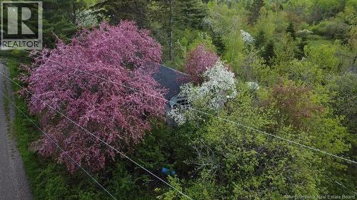 196 Ledge Road, Dufferin, NB 