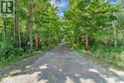 Driveway - 
