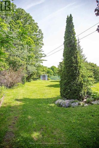 365 St. Joseph Street, Tweed (Tweed (Village)), ON 