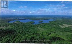 0 NORTH STEENBURG LAKE ROAD  Wollaston, ON K0L 1P0