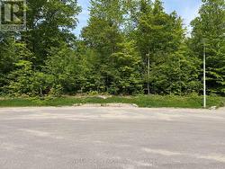 LT 50 WHISPERING PINE CIRCLE E Tiny, ON L9M 0C2