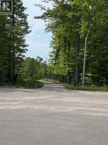 Walking Trail Continued - Lt 50 Whispering Pine Circle E, Tiny, ON 