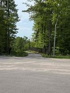 Walking Trail Continued - 