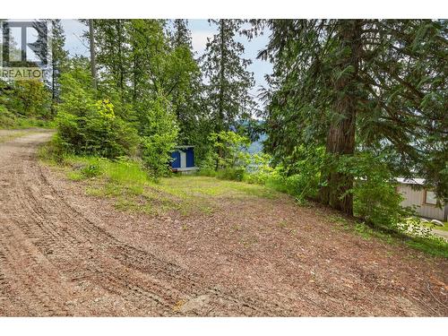 6506 Littlewood Road, Nelson, BC - Outdoor