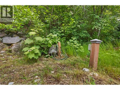 6506 Littlewood Road, Nelson, BC - Outdoor