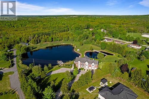 53 Peter Street, Grey Highlands, ON 