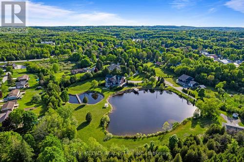 53 Peter Street, Grey Highlands, ON 