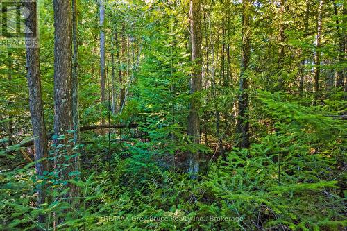 30 Huron Park Road, Northern Bruce Peninsula, ON 
