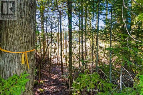 30 Huron Park Road, Northern Bruce Peninsula, ON 