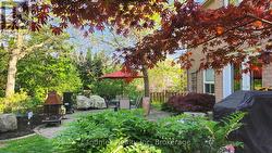 Yard - 