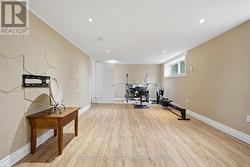 Lower level family room - 