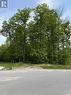 Lot 49 Whispering Pine Circle - Lt 49 Whispering Pine Circle E, Tiny, ON 