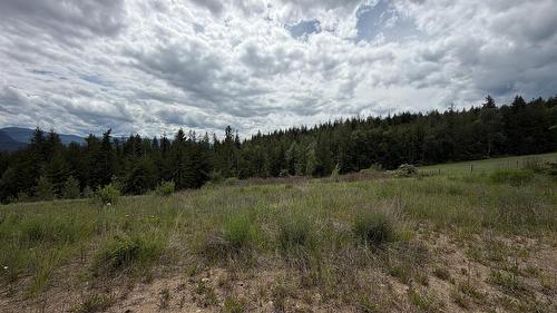 78 97B Highway, Enderby, BC 