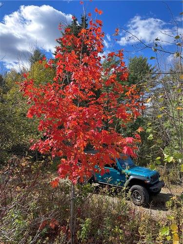 267 Route 850, Kingston, NB 