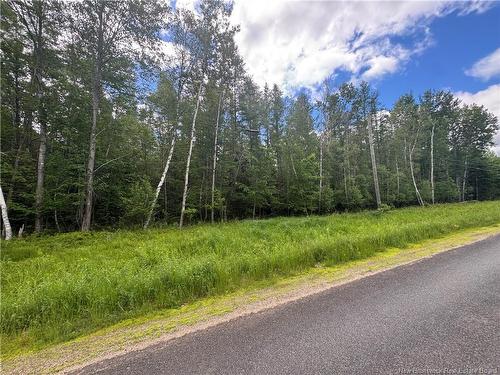 - Route 690, Maquapit Lake, NB 