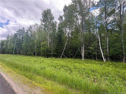 - Route 690, Maquapit Lake, NB 