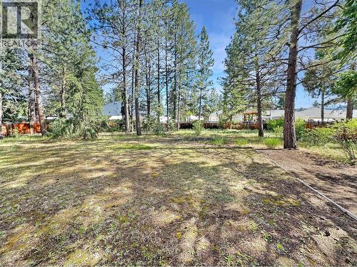 113 Deerview Crescent, Princeton, BC 