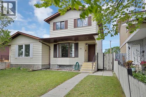 56 Templeridge Crescent Ne, Calgary, AB 