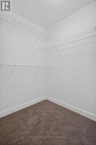 25 Kiln Lane E, St. Thomas, ON - Indoor With Storage