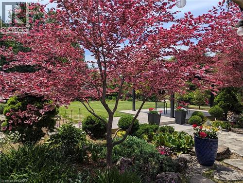 14 Plainsman Road, Mississauga, ON 