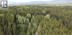 DL 706 WALCOTT ROAD Telkwa, BC V0J 2X2