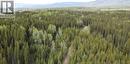 Dl 706 Walcott Road, Telkwa, BC 