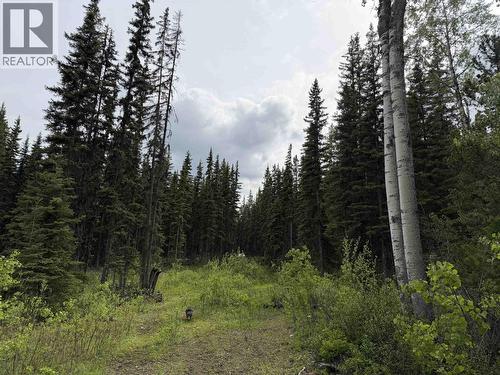 Dl 706 Walcott Road, Telkwa, BC 