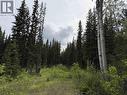 Dl 706 Walcott Road, Telkwa, BC 