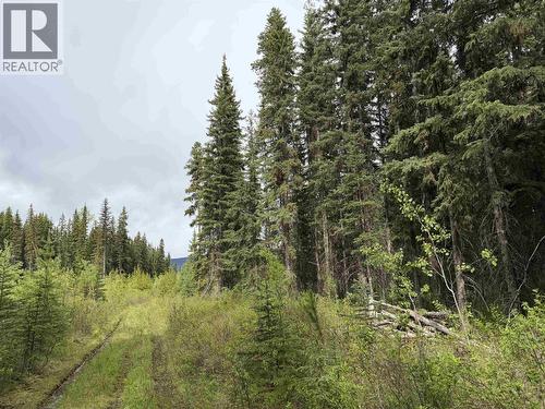 Dl 706 Walcott Road, Telkwa, BC 