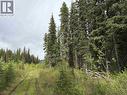 Dl 706 Walcott Road, Telkwa, BC 