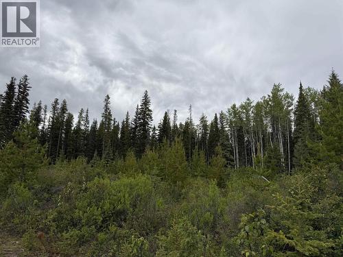 Dl 706 Walcott Road, Telkwa, BC 