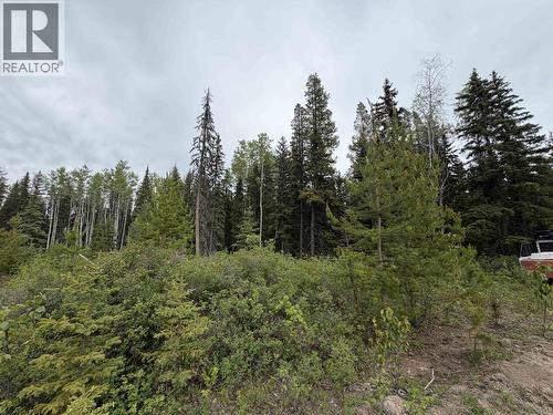 Dl 706 Walcott Road, Telkwa, BC 