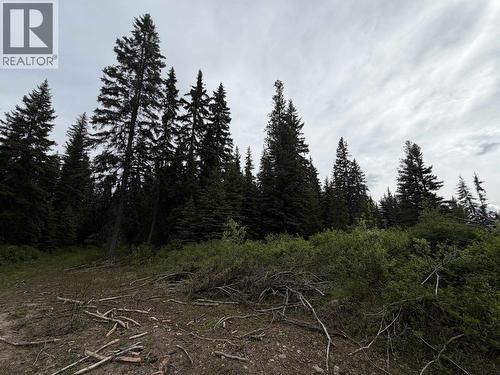 Dl 706 Walcott Road, Telkwa, BC 