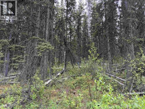 Dl 706 Walcott Road, Telkwa, BC 