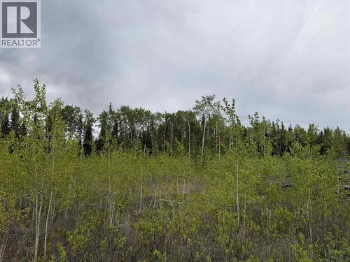 Dl 706 Walcott Road, Telkwa, BC 