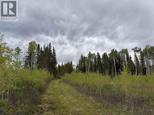 Dl 706 Walcott Road, Telkwa, BC 