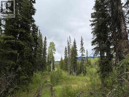 Dl 706 Walcott Road, Telkwa, BC 
