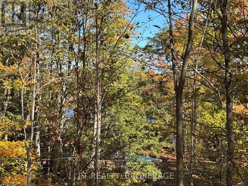 500 Yvon Lane, Rideau Lakes, ON 