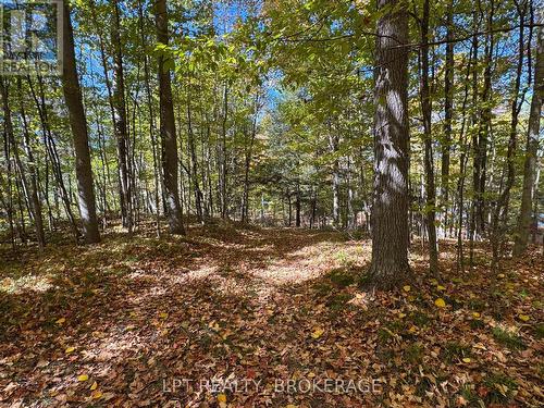 500 Yvon Lane, Rideau Lakes, ON 